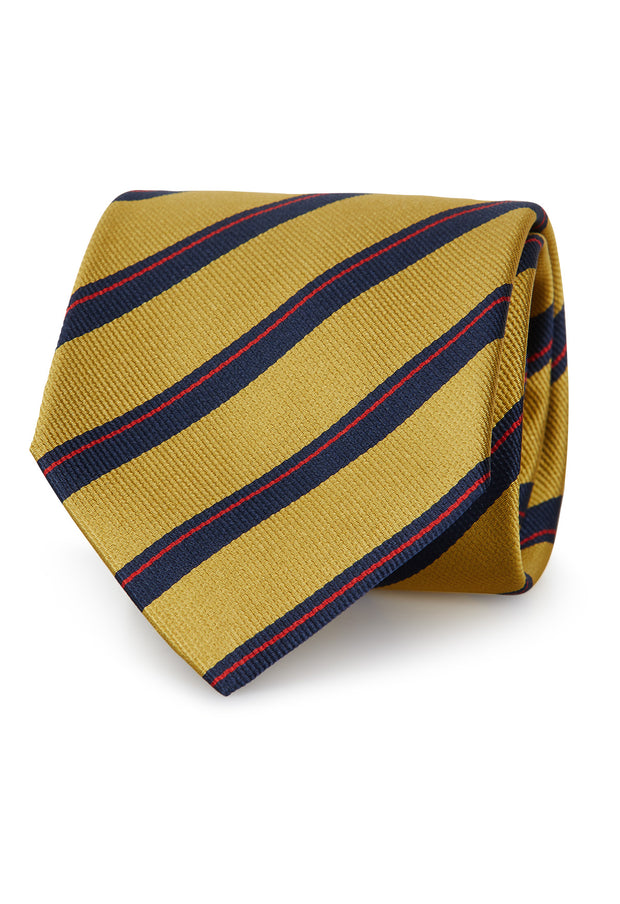 yellow and blue regimental tie